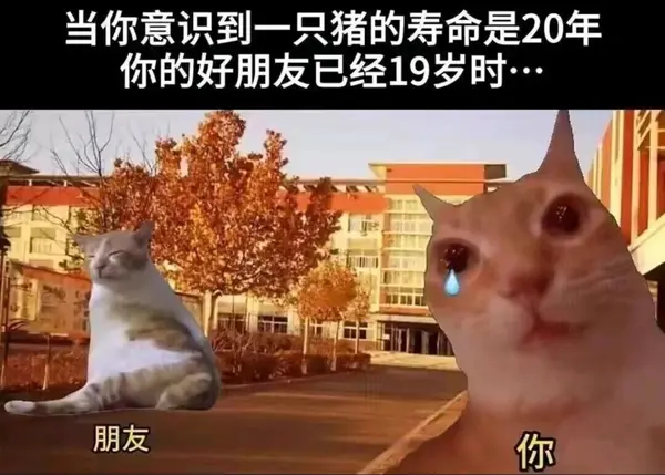 今日沙雕：世界上造假的人那么多，为什么我们的假还是很少？宣传图171