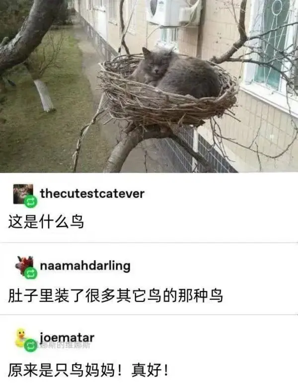 今日沙雕：世界上造假的人那么多，为什么我们的假还是很少？宣传图182