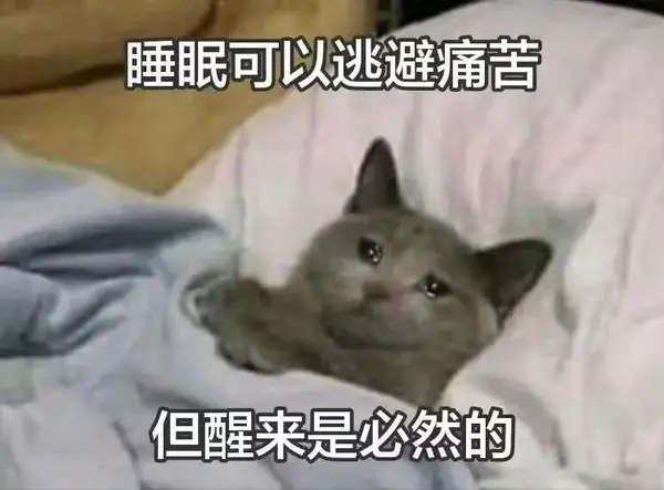 今日沙雕：世界上造假的人那么多，为什么我们的假还是很少？宣传图215