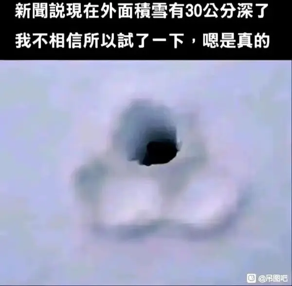 今日沙雕：世界上造假的人那么多，为什么我们的假还是很少？宣传图221