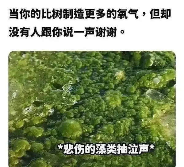 今日沙雕：世界上造假的人那么多，为什么我们的假还是很少？宣传图275