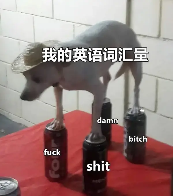 今日沙雕：世界上造假的人那么多，为什么我们的假还是很少？宣传图279