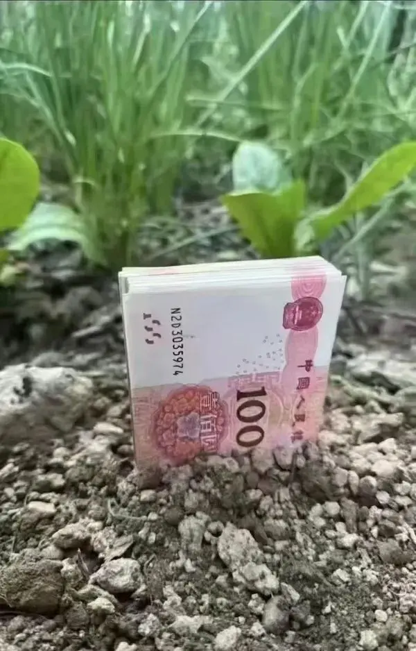 今日沙雕：世界上造假的人那么多，为什么我们的假还是很少？宣传图301
