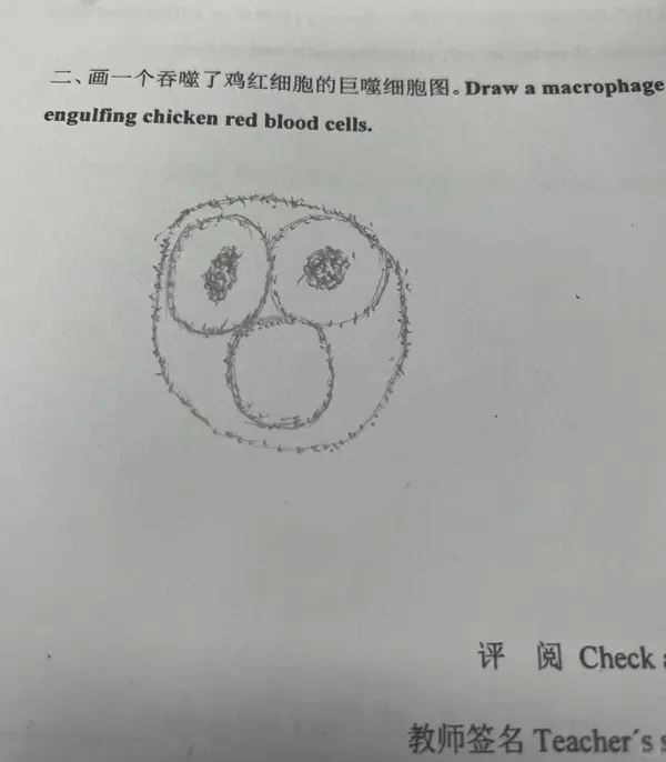 今日沙雕：世界上造假的人那么多，为什么我们的假还是很少？宣传图307