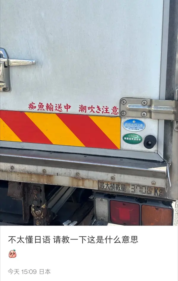 今日沙雕：故宫是不是可以叫汉堡宣传图12