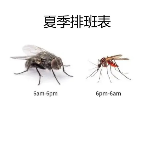 今日沙雕：故宫是不是可以叫汉堡宣传图33