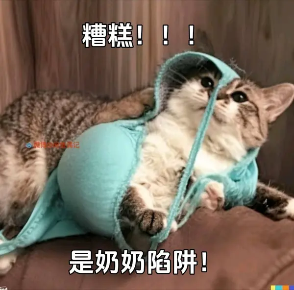 今日沙雕：大伙们撞到鬼都是怎么解决的，是道歉还是赔钱宣传图5