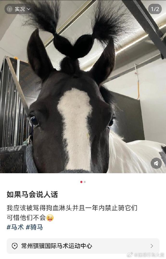 今日沙雕：大伙们撞到鬼都是怎么解决的，是道歉还是赔钱宣传图23