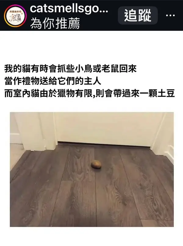 今日沙雕：大伙们撞到鬼都是怎么解决的，是道歉还是赔钱宣传图43