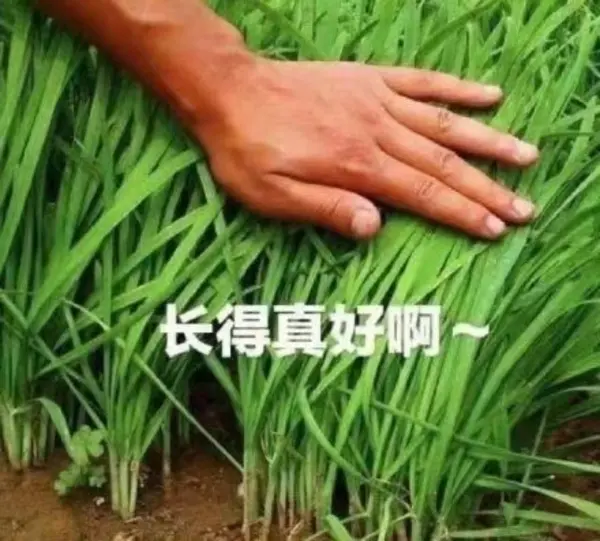 今日沙雕：大伙们撞到鬼都是怎么解决的，是道歉还是赔钱宣传图49