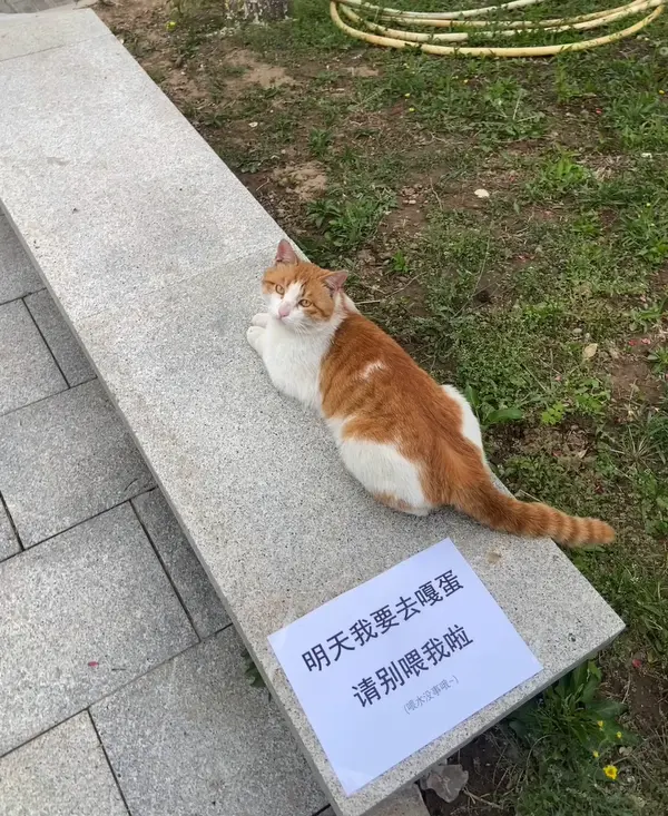今日沙雕：大伙们撞到鬼都是怎么解决的，是道歉还是赔钱宣传图60