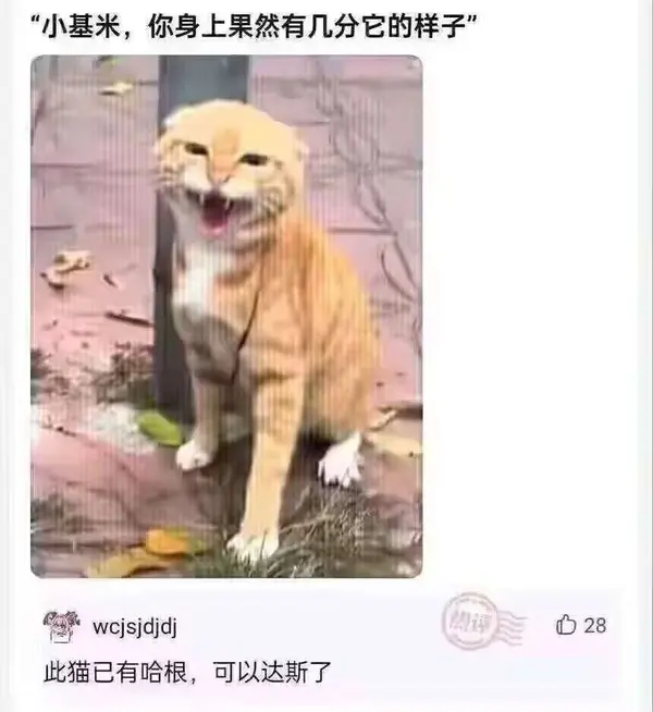 今日沙雕：大伙们撞到鬼都是怎么解决的，是道歉还是赔钱宣传图66