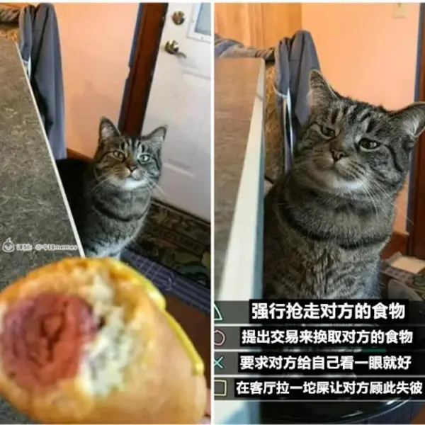 今日沙雕：大伙们撞到鬼都是怎么解决的，是道歉还是赔钱宣传图71