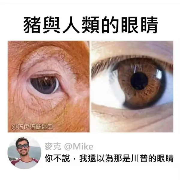 今日沙雕： 既然各國都保護(hù)未成年，都用童子兵不就世界和平了？宣傳圖76