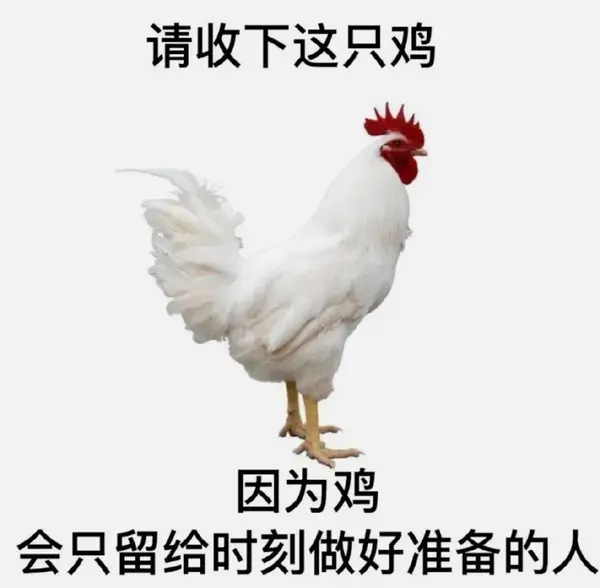 今日沙雕： 既然各國都保護(hù)未成年，都用童子兵不就世界和平了？宣傳圖88