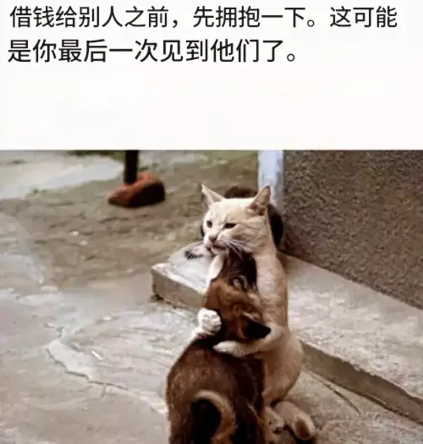 今日沙雕： 既然各國都保護(hù)未成年，都用童子兵不就世界和平了？宣傳圖97