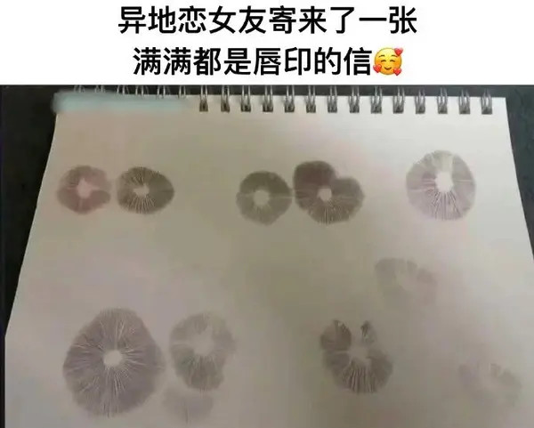今日沙雕： 既然各國都保護(hù)未成年，都用童子兵不就世界和平了？宣傳圖112