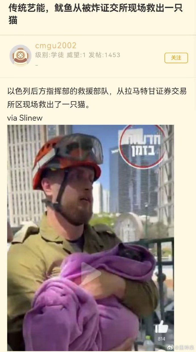 今日沙雕：金正恩玩pvz需要带向日葵和阳光菇吗宣传图11