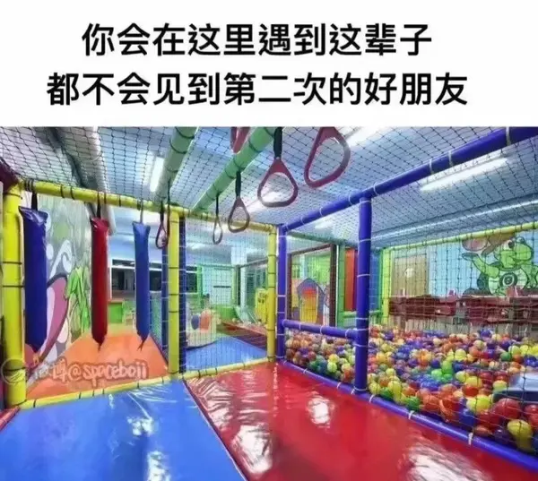 今日沙雕：金正恩玩pvz需要带向日葵和阳光菇吗宣传图62