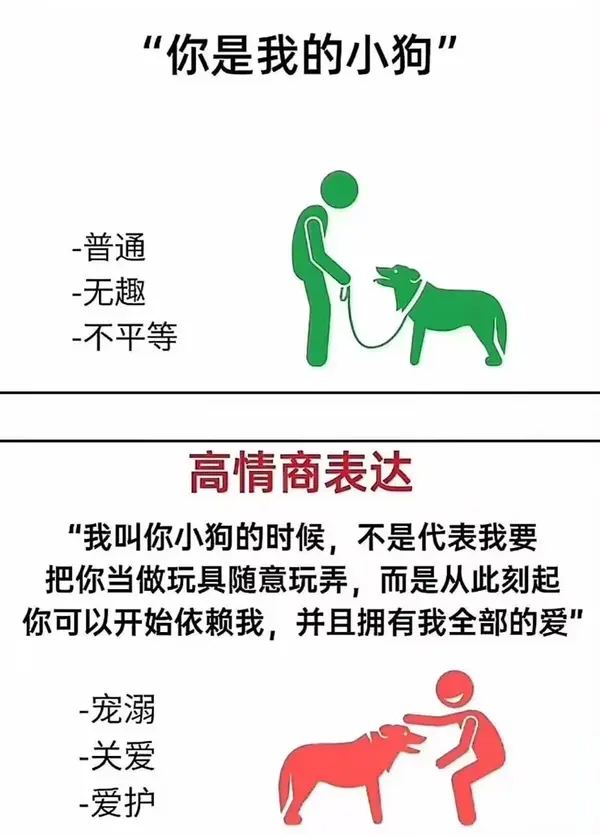 今日沙雕：金正恩玩pvz需要带向日葵和阳光菇吗宣传图78