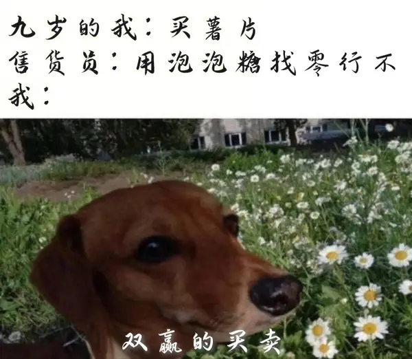 今日沙雕：金正恩玩pvz需要带向日葵和阳光菇吗宣传图90