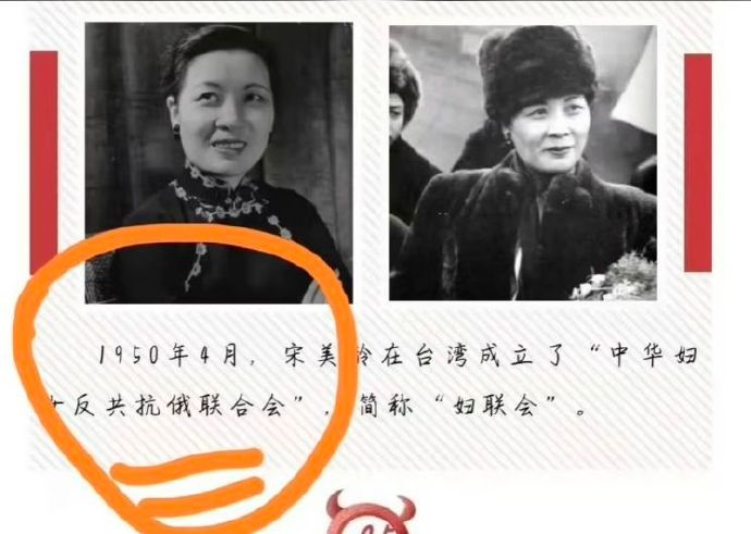 今日沙雕：金正恩玩pvz需要带向日葵和阳光菇吗宣传图107