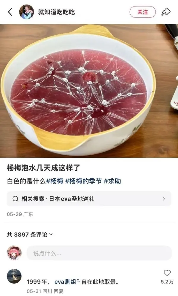 今日沙雕：给脑子看了华莱士的图片，才华喷涌而出宣传图11
