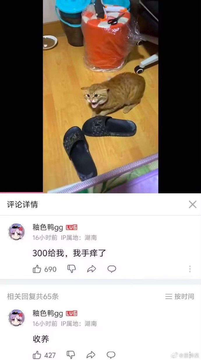 今日沙雕：给脑子看了华莱士的图片，才华喷涌而出宣传图29