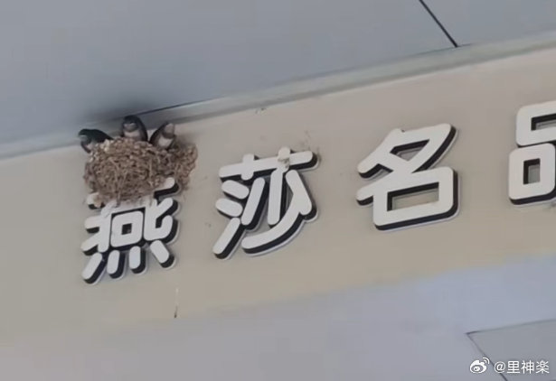 今日沙雕：给脑子看了华莱士的图片，才华喷涌而出宣传图49