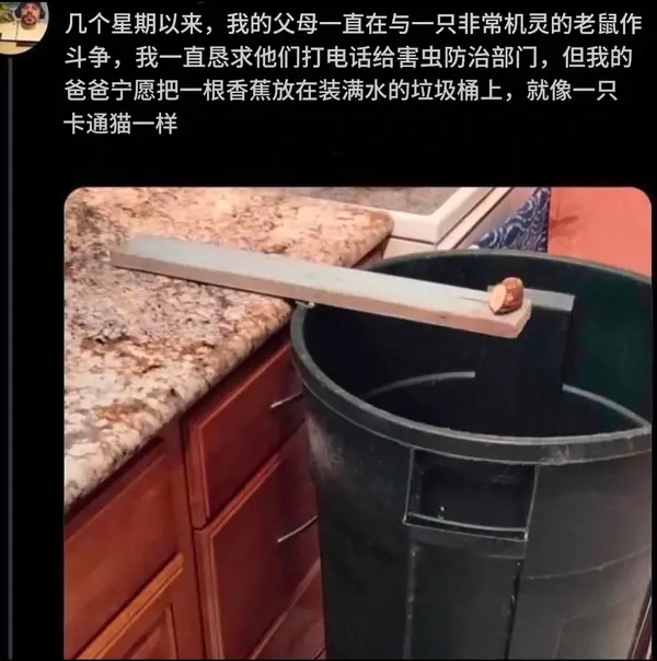 今日沙雕：给脑子看了华莱士的图片，才华喷涌而出宣传图116