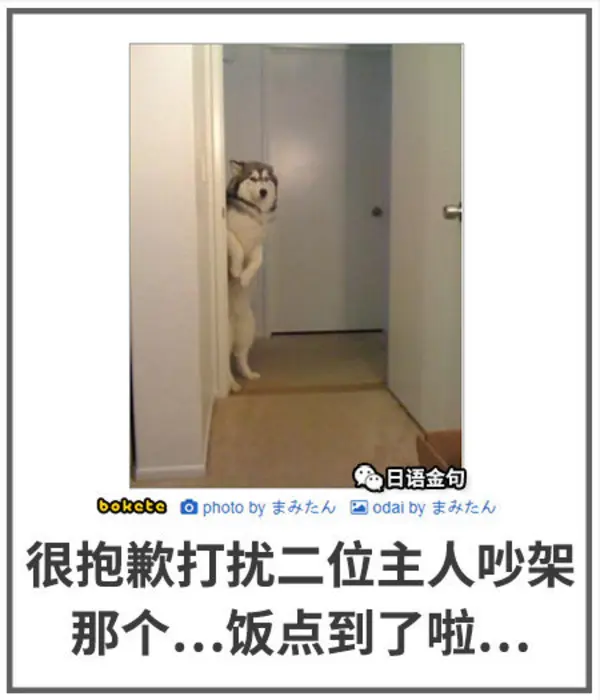 今日沙雕：给脑子看了华莱士的图片，才华喷涌而出宣传图127