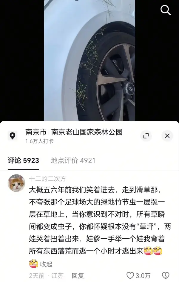 今日沙雕：给脑子看了华莱士的图片，才华喷涌而出宣传图130