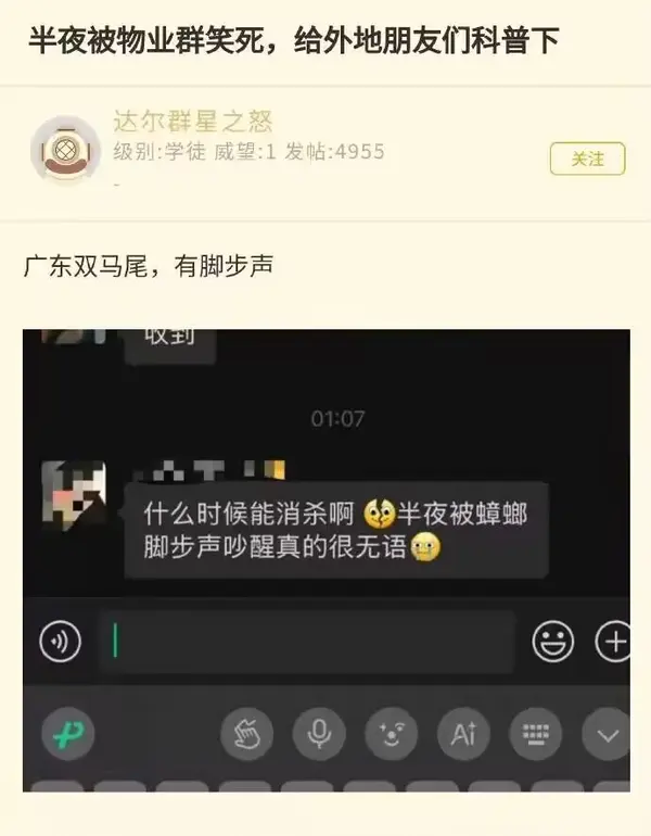 今日沙雕：给脑子看了华莱士的图片，才华喷涌而出宣传图142