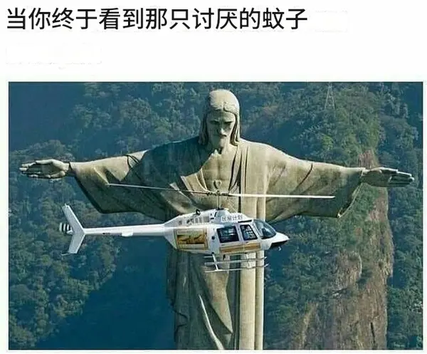 今日沙雕：给脑子看了华莱士的图片，才华喷涌而出宣传图204