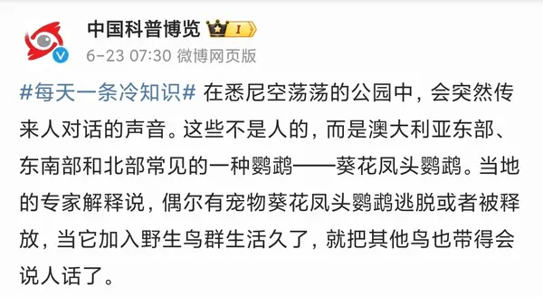 今日沙雕：给脑子看了华莱士的图片，才华喷涌而出宣传图211