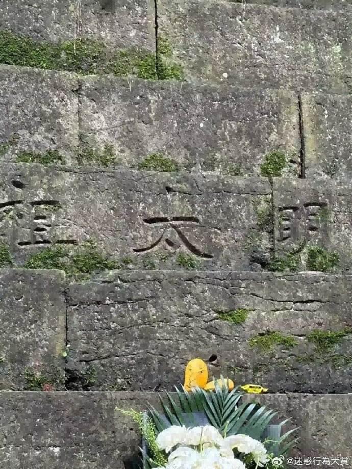 今日沙雕：给脑子看了华莱士的图片，才华喷涌而出宣传图232