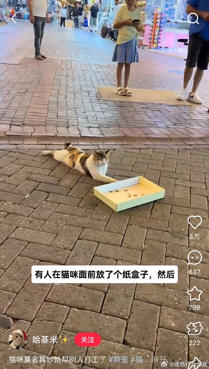 今日沙雕：哎呀，第一次脱裤子上厕所好害羞宣传图23