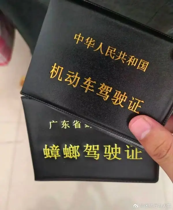 今日沙雕：哎呀，第一次脱裤子上厕所好害羞宣传图27