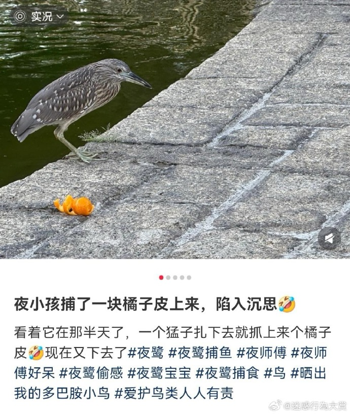 今日沙雕：哎呀，第一次脱裤子上厕所好害羞宣传图30