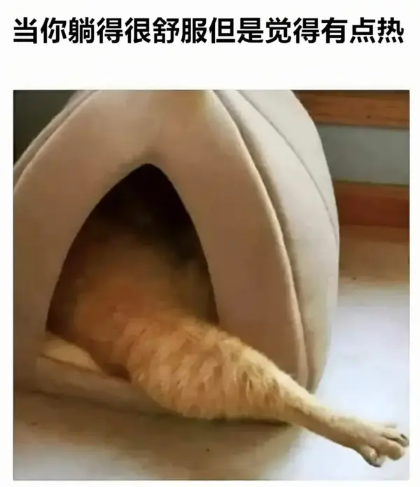 今日沙雕：哎呀，第一次脱裤子上厕所好害羞宣传图34