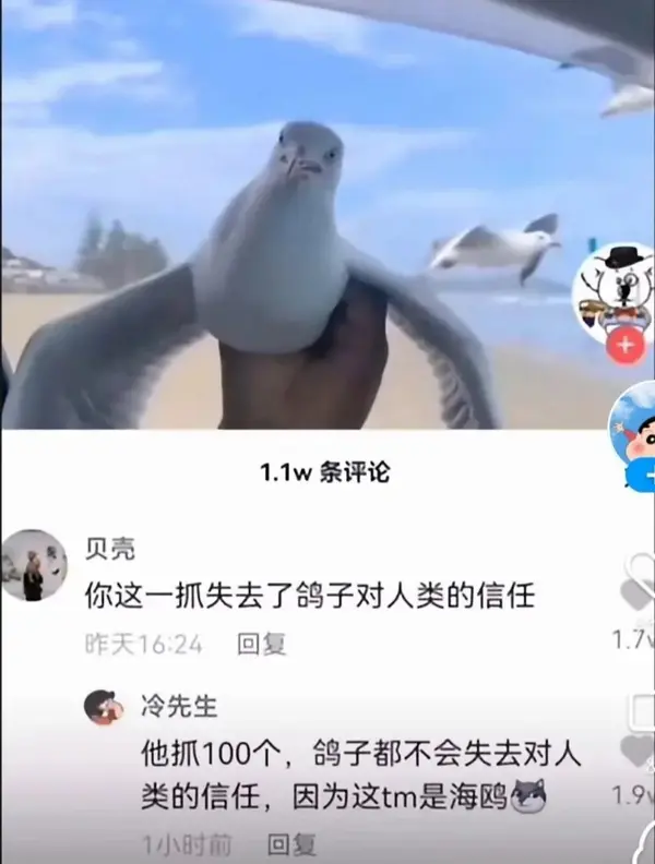 今日沙雕：哎呀，第一次脱裤子上厕所好害羞宣传图37