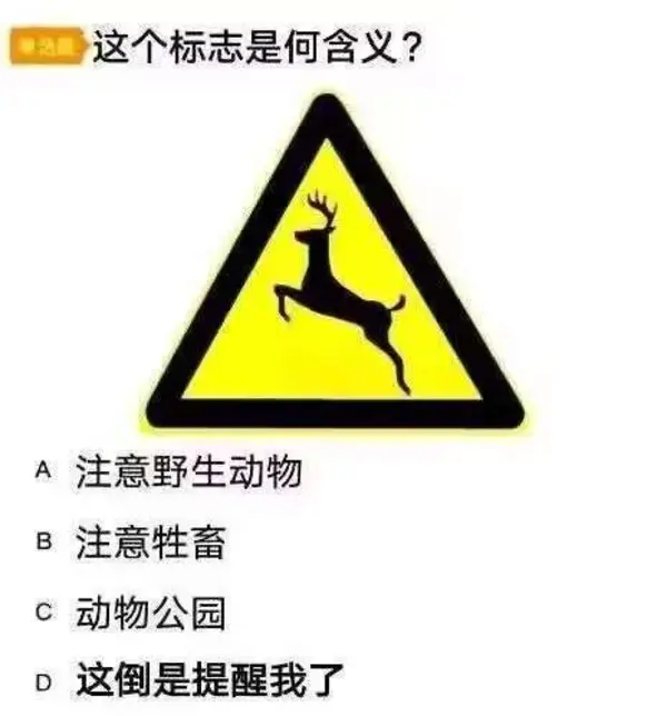 今日沙雕：哎呀，第一次脱裤子上厕所好害羞宣传图55