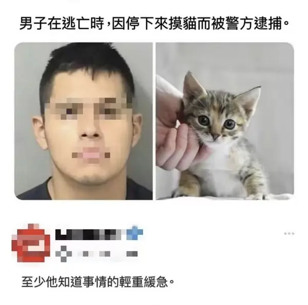 今日沙雕：哎呀，第一次脱裤子上厕所好害羞宣传图67