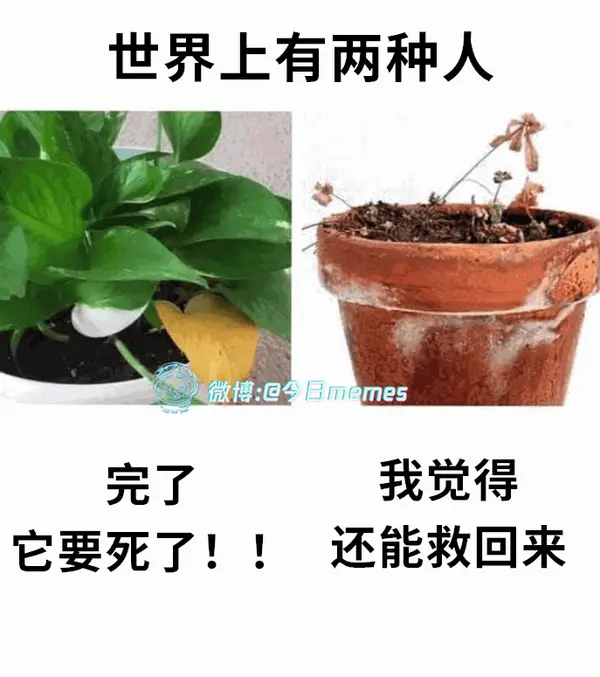 今日沙雕：哎呀，第一次脱裤子上厕所好害羞宣传图77