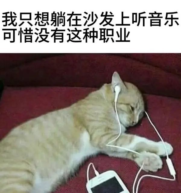 今日沙雕：求一个全世界都在听的小众歌曲宣传图6