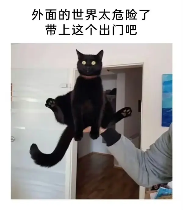 今日沙雕：求一个全世界都在听的小众歌曲宣传图40