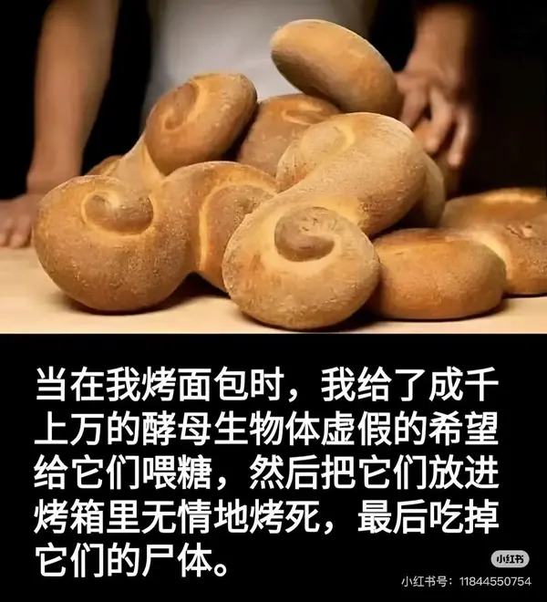 今日沙雕：求一个全世界都在听的小众歌曲宣传图44