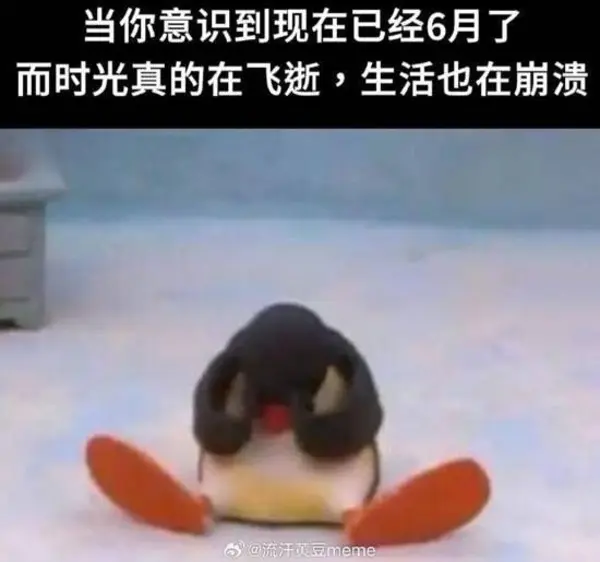 今日沙雕：求一个全世界都在听的小众歌曲宣传图77