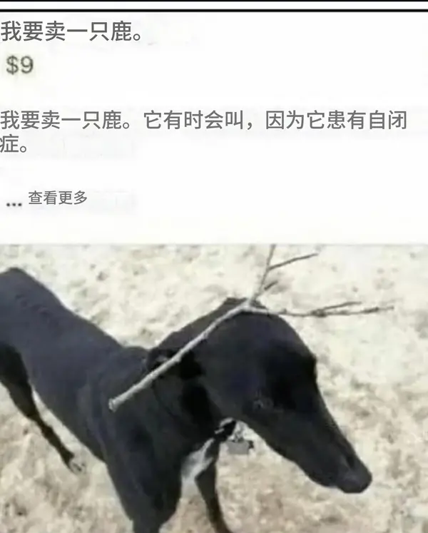 今日沙雕：求一个全世界都在听的小众歌曲宣传图90