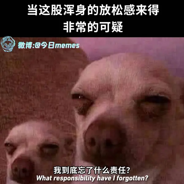 今日沙雕：求一个全世界都在听的小众歌曲宣传图107